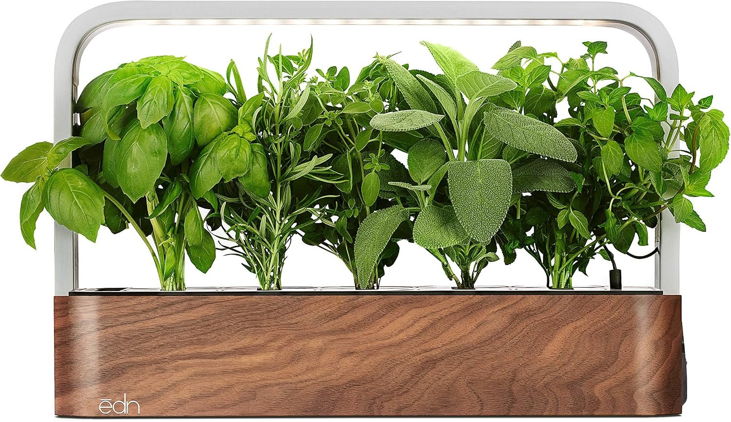 Indoor Smart Garden with Basil SeedPods for iOS Devices | For iOS Devices Only, Fresh Home Grown Herbs, Plants and Flowers, Grow up to 10 Different Plants at Once